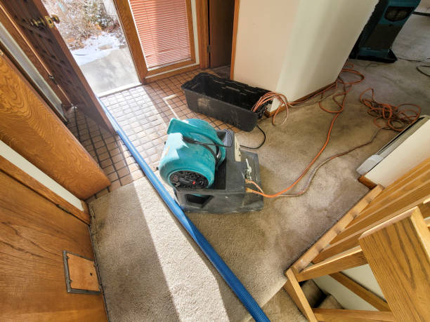 Best Local water damage restoration  in Tamalpais Homestead Valley, CA