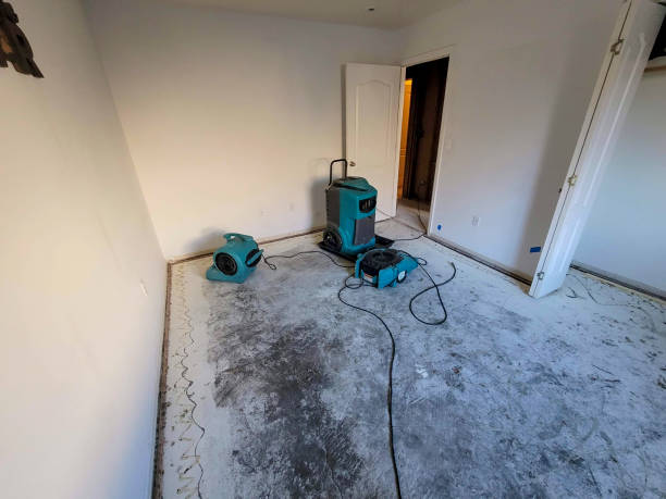 Best Residential water damage restoration  in Tamalpais Homestead Valley, CA