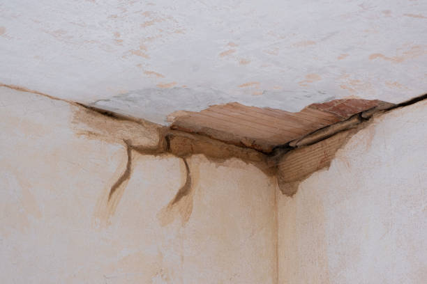 Best Local water damage restoration  in Tamalpais Homestead Valley, CA