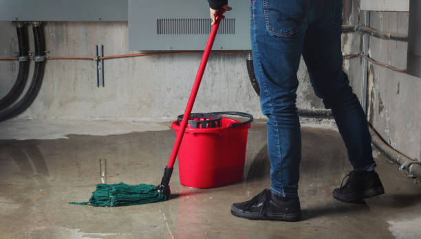 Best Water damage repair service  in Tamalpais Homestead Valley, CA
