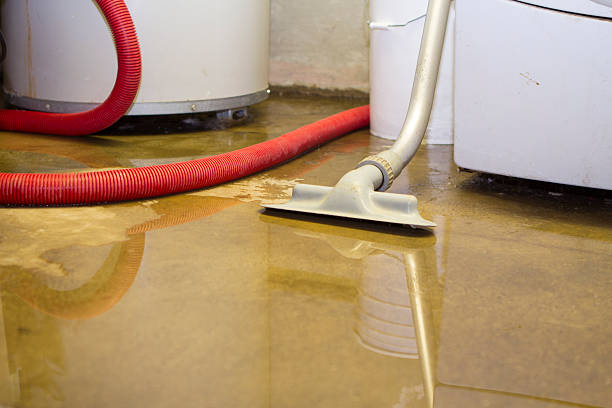 Best Ceiling water damage repair  in Tamalpais Homestead Valley, CA