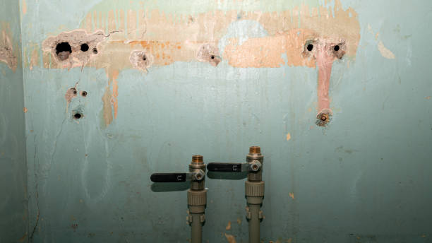 Best Water damage contractors near me  in Tamalpais Homestead Valley, CA