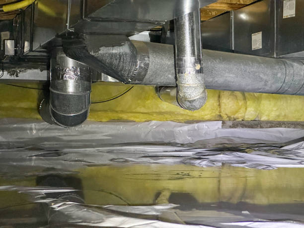 Best Local water damage restoration  in Tamalpais Homestead Valley, CA