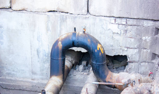 Best Flood damage cleanup  in Tamalpais Homestead Valley, CA