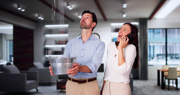 Best Water damage restoration insurance claims  in Tamalpais Homestead Valley, CA