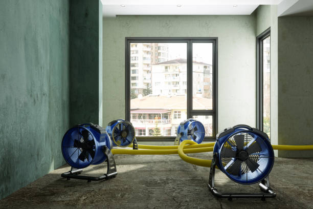  Tamalpais Homestead Valley, CA Water damage restoration Pros