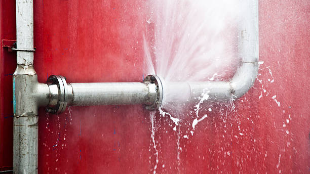 Best Sewage cleanup and water damage restoration  in Tamalpais Homestead Valley, CA